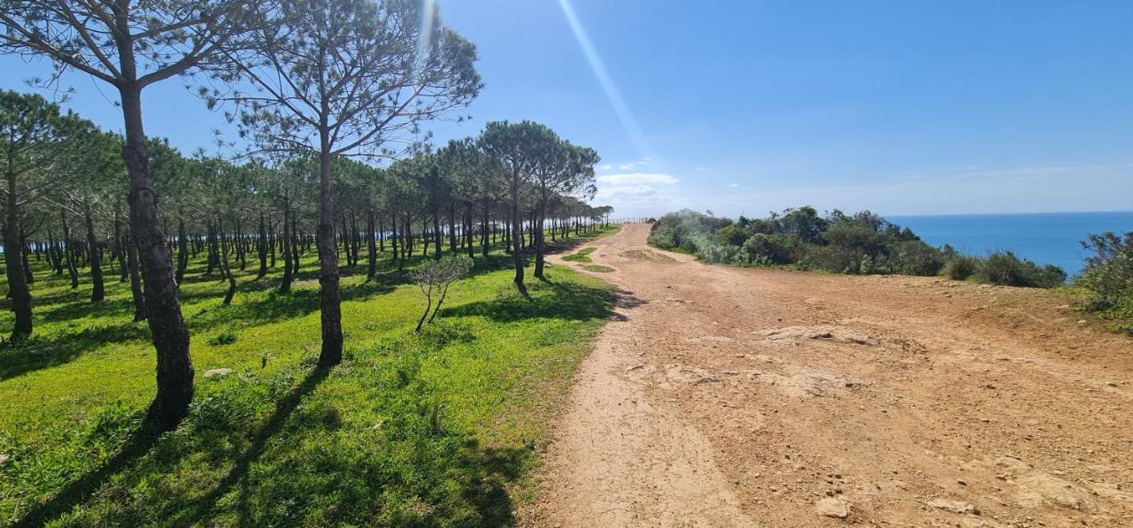 Baia Da Luz Luz Beach 1 Bedroom Apartment エクステリア 写真